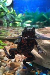 Fire Bellied Toad Journal