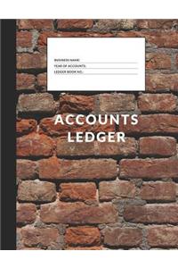 Accounts Ledger