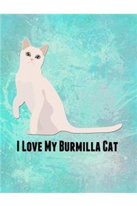 I Love My Burmilla Cat