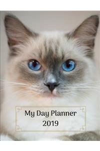 My Day Planner 2019: Ragdoll Cat