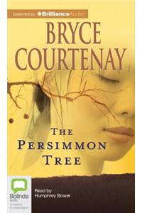 The Persimmon Tree