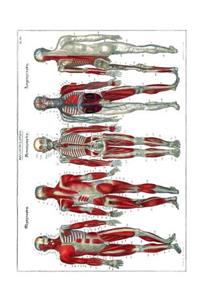 Recapitulation Myography - Neurography - Angiography Composition Notebook