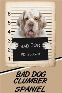 Bad Dog Clumber Spaniel