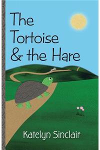 The Tortoise & the Hare