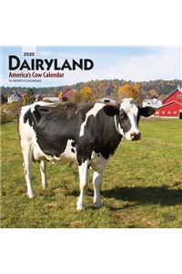 Dairyland America's Cow Calendar 2020 Square
