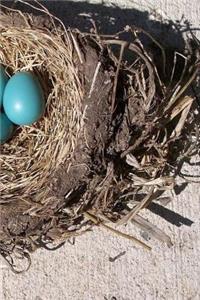 Bird Nest Notebook