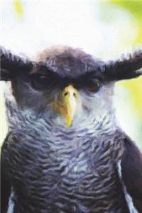 Spot-Bellied Eagle-Owl - Lined Notebook with Margins