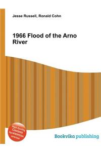 1966 Flood of the Arno River