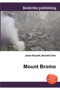 Mount Bromo