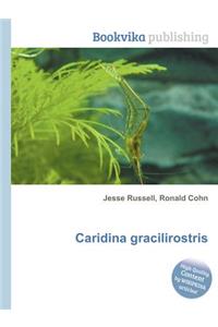 Caridina Gracilirostris