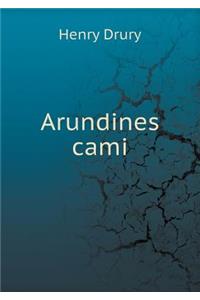 Arundines cami