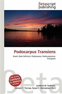 Podocarpus Transiens