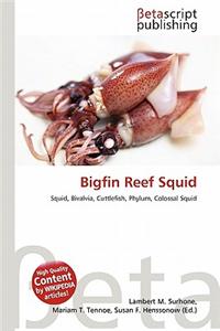 Bigfin Reef Squid