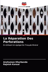 Réparation Des Perforations