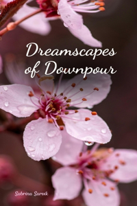 Dreamscapes of Downpour