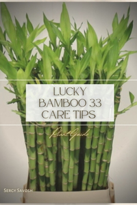 Lucky Bamboo 33 Care Tips