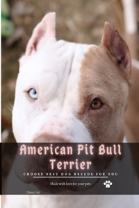 American Pit Bull Terrier