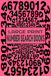large print number search books