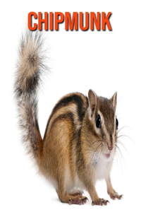 Chipmunk