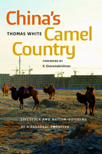 China's Camel Country