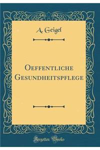 Oeffentliche Gesundheitspflege (Classic Reprint)