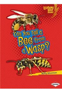 Can You Tell a Bee from a Wasp