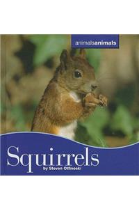 Squirrels