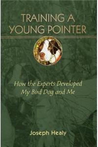 Training a Young Pointer