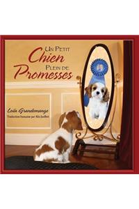 Un Petit Chien Plein De Promesses