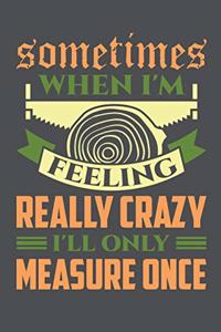 Sometimes When I'm Feeling Really Crazy I'll Only Measure Once