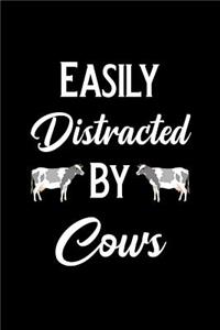 Easily Distracted by Cows