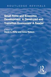 Small Firms and Economic Development in Developed and Transition Economies