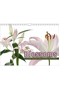 Blossoms - A Journey Through Nature's Forms and Colours 2017