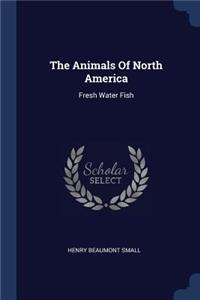 Animals Of North America