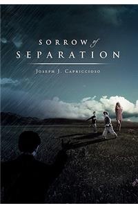 Sorrow of Separation