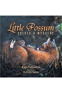 Little Possum Solves a Mystery