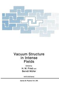 Vacuum Structure in Intense Fields