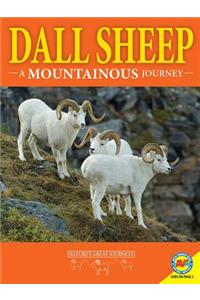 Dall Sheep: A Mountainous Journey