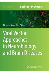 Viral Vector Approaches in Neurobiology and Brain Diseases