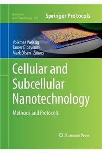 Cellular and Subcellular Nanotechnology