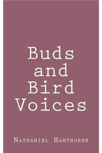 Buds and Bird Voices