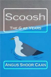 G ap Years