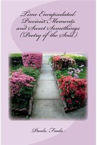 Time Encapsulated: Precious Moments and Sweet Somethings (Poetry of the Soul): (Large Print Edition)