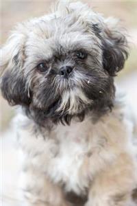 The Shih Tzu Dog Journal