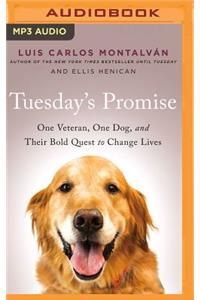 Tuesday's Promise: One Veteran, One Dog, and Their Bold Quest to Change Lives