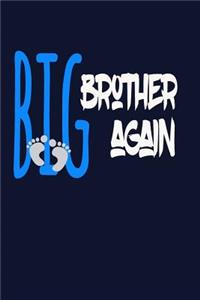 Big Brother Again