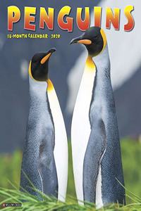 Penguins 2020 Wall Calendar