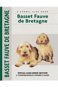Basset Fauve De Bretagne