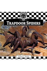 Trapdoor Spiders