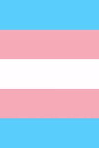 Transgender Pride Flag Sketch Journal